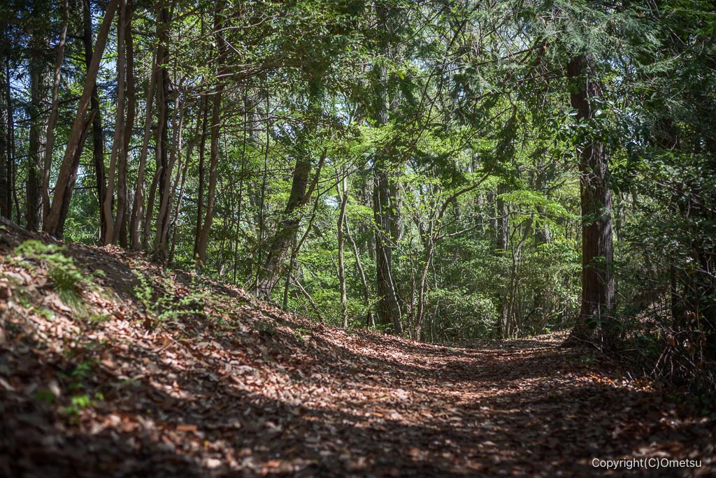 あきる野市・網代弁天山付近の登山道