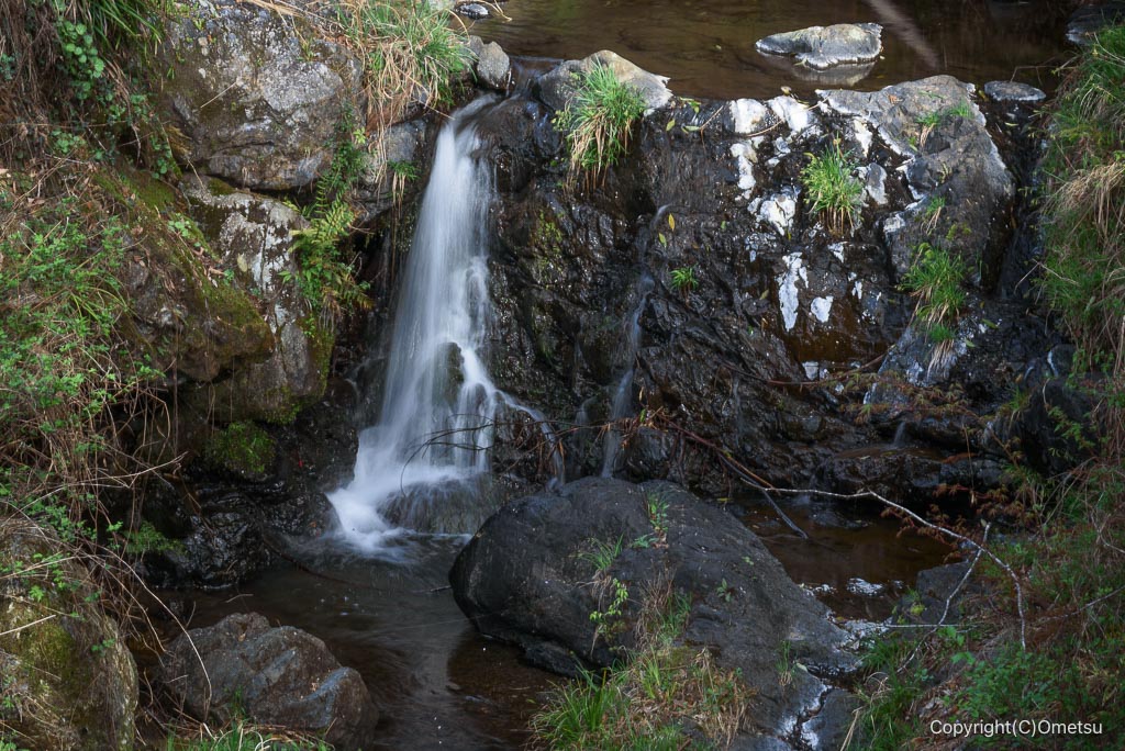 青梅市。平溝川沿いの清流