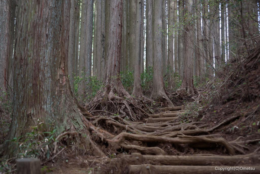 高水三山の、急登