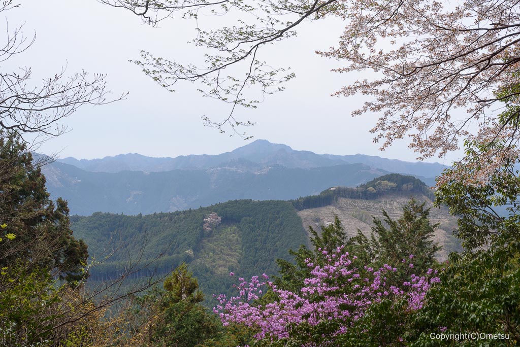 高水三山からの大岳山