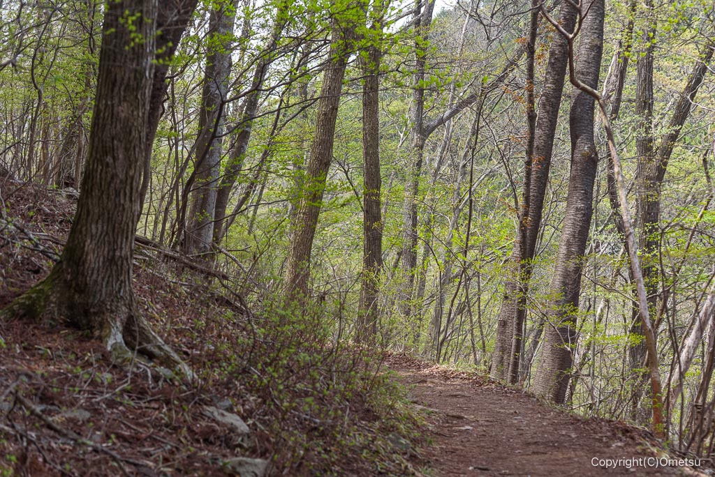 高水三山・高水山から岩茸石山への登山道