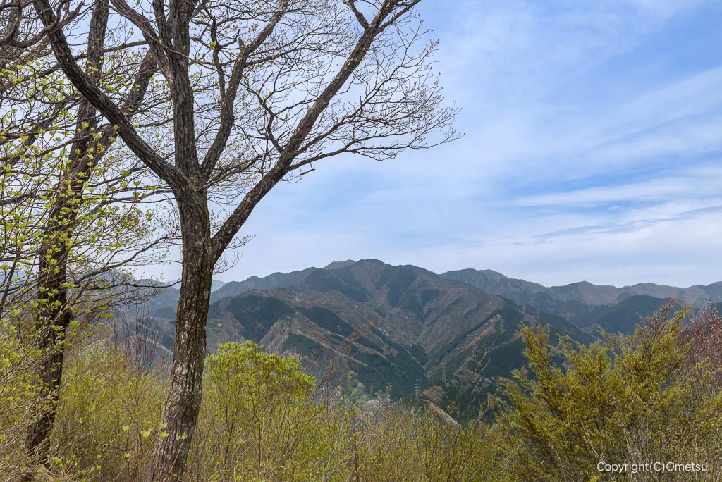 高水三山・岩茸石山から、川苔山を望む
