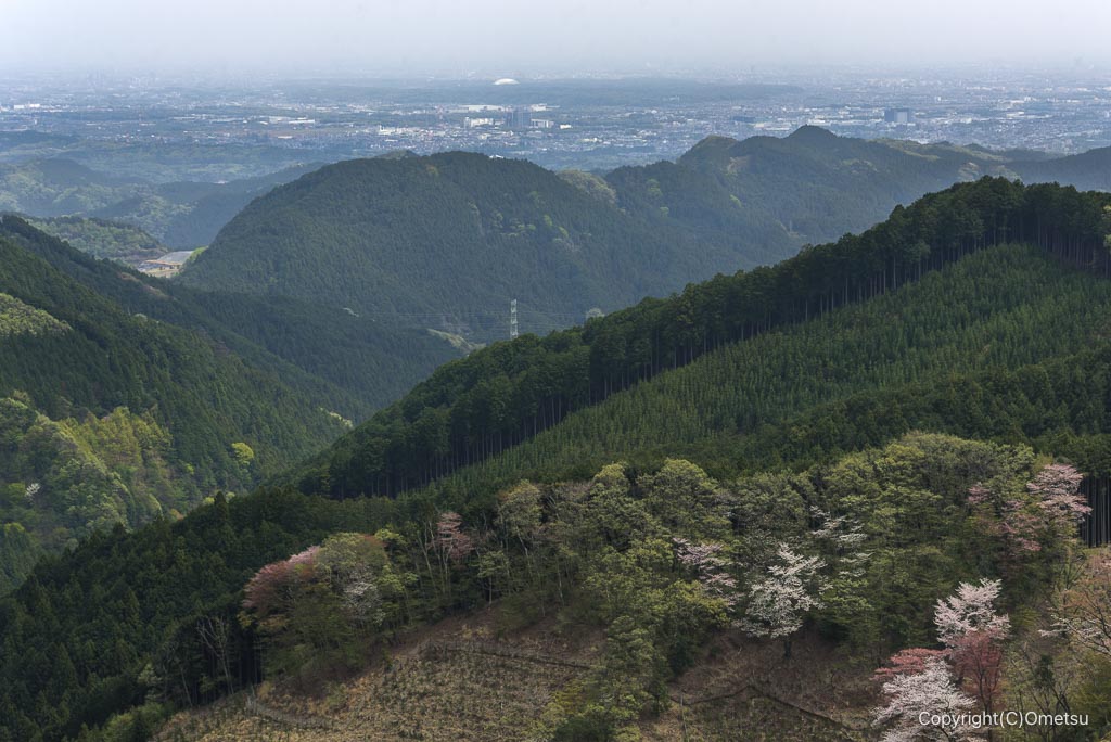 高水三山・惣岳山付近からの都心方面