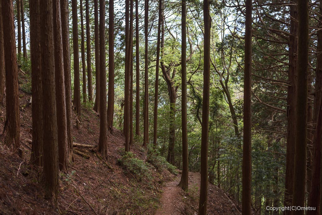 高水三山・惣岳山から御嶽駅への登山道