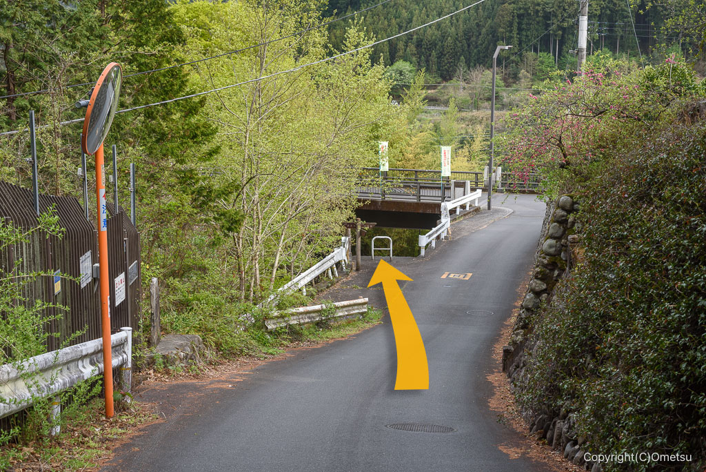 青梅市・青渭神社の参道