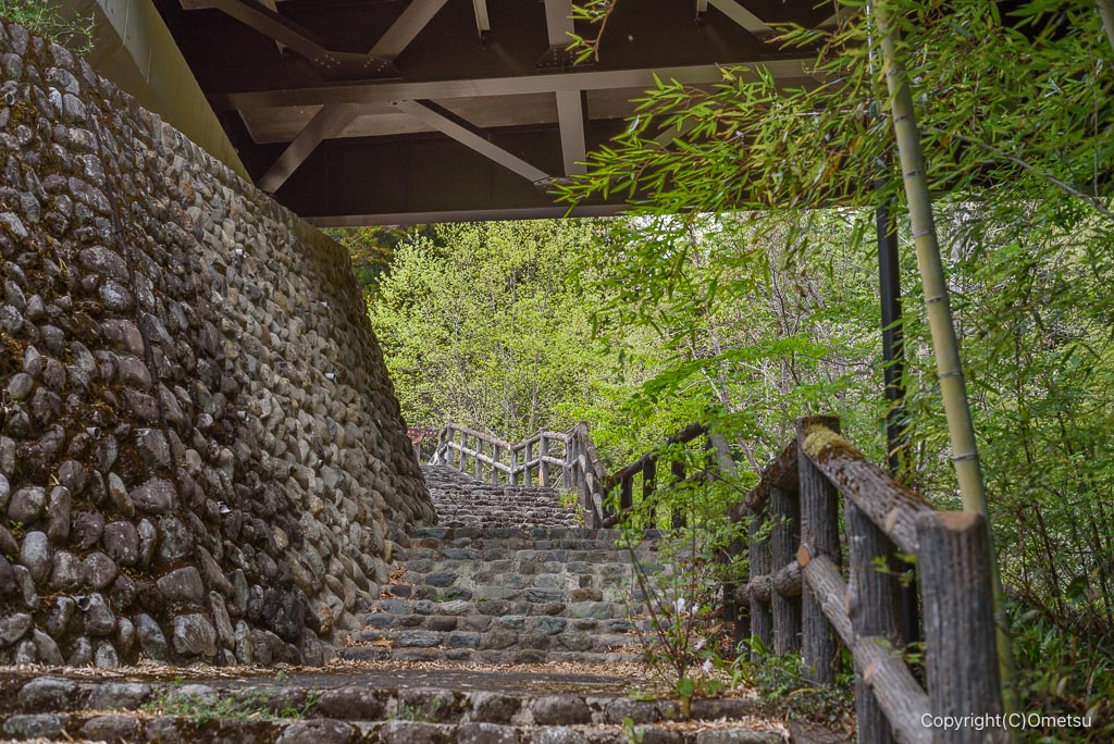 青梅市・青渭神社の参道の石段