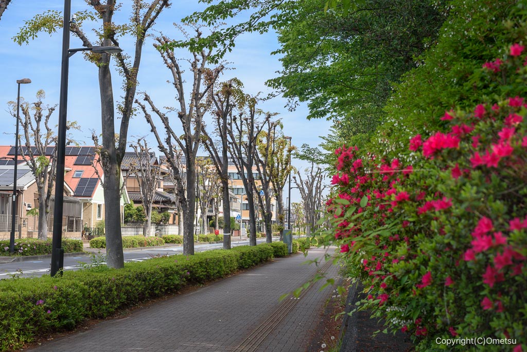 小作駅東口・181号線の道