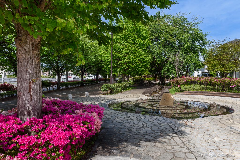 青梅市・平松緑道の噴水とツツジ