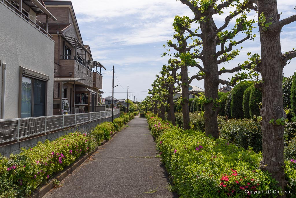 東京都・瑞穂町の遊歩道
