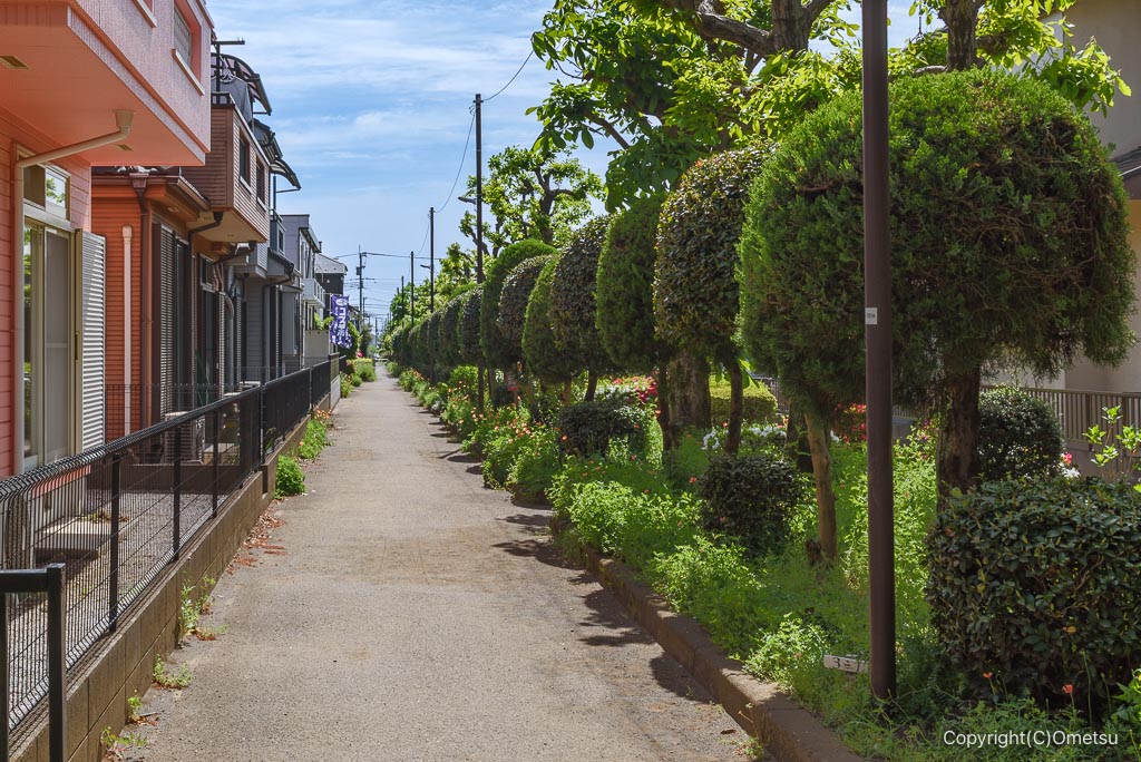 東京都・瑞穂町の、かすが公園近くの遊歩道