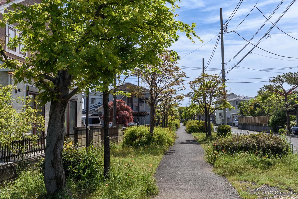 東京都・瑞穂町の、下野公園近くの遊歩道