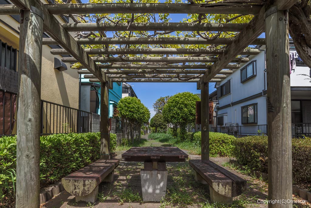 東京都・瑞穂町の、藤棚