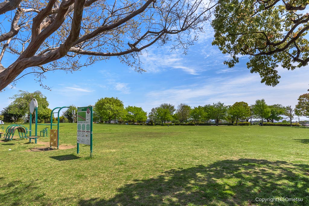 東京都・瑞穂町の、松原中央公園の芝生広場