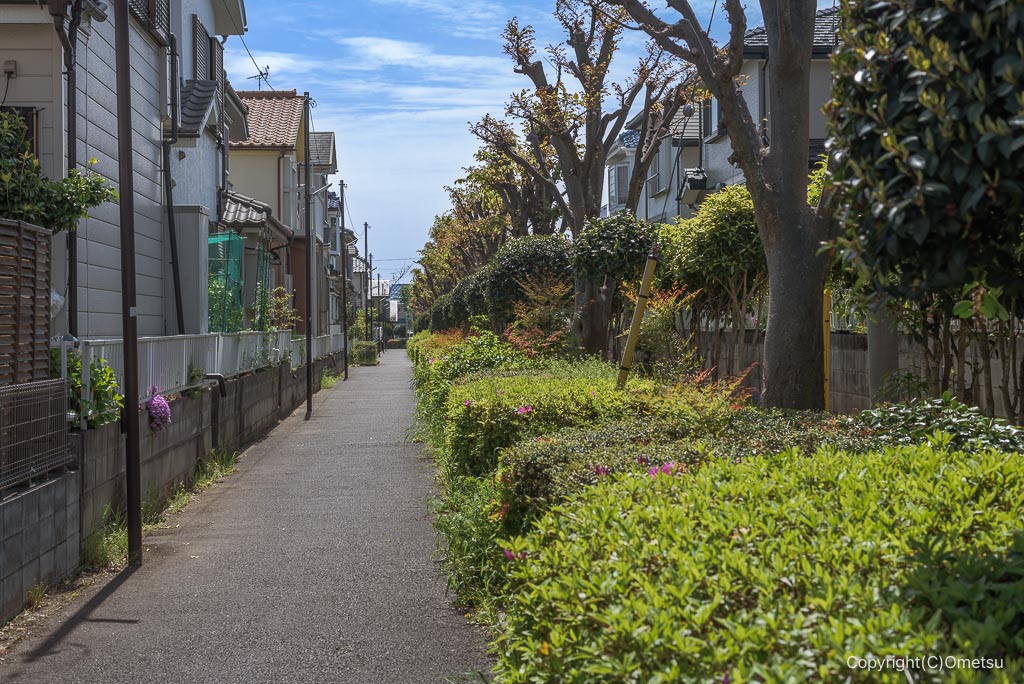 東京都・瑞穂町の、松原中央公園近くの遊歩道