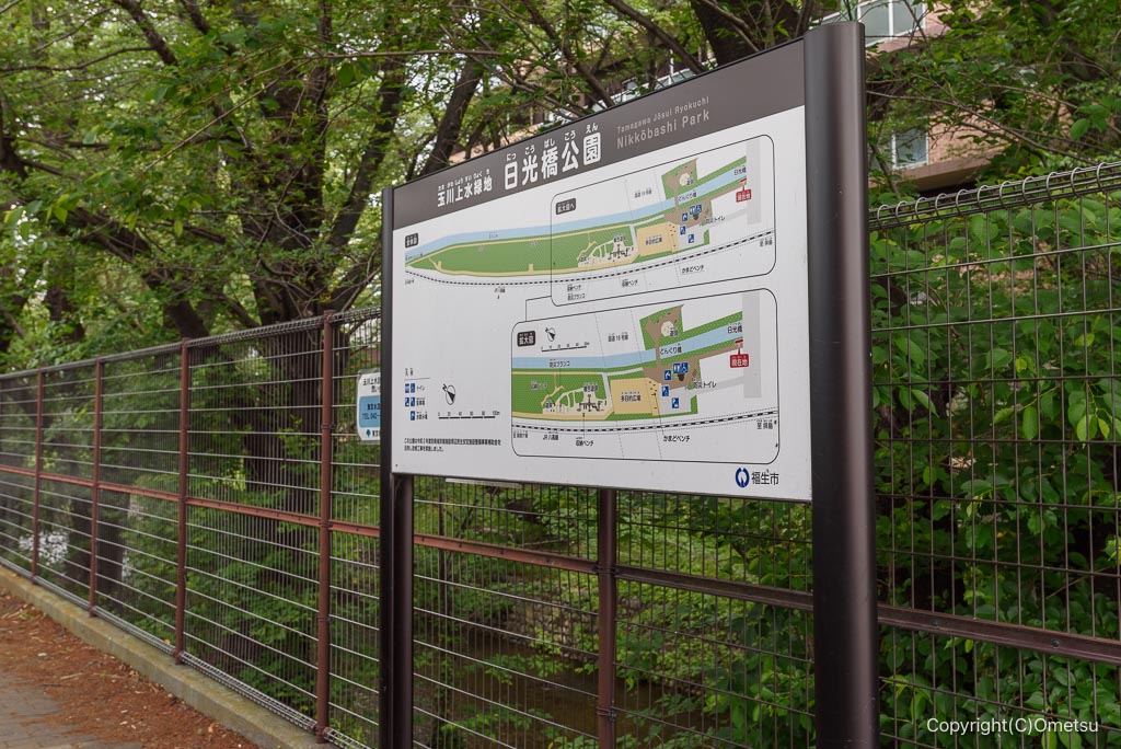 拝島・日光橋付近の玉川上水