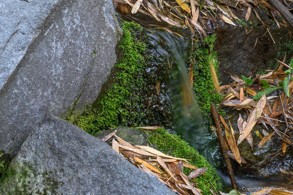 福生市・ほたる公園付近の湧水