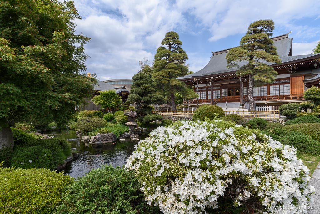 福生市・ツツジ咲く清岩院