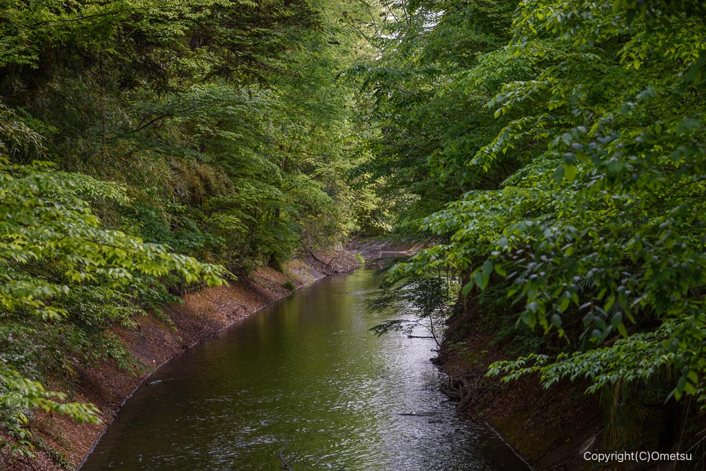 玉川上水・加美上水橋付近