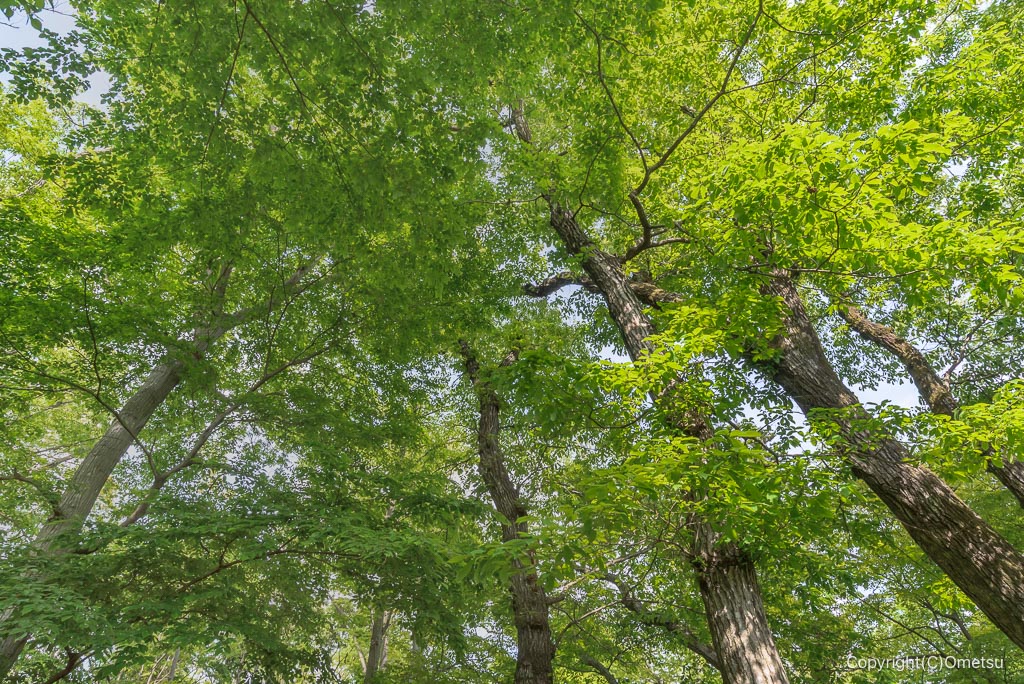 福生加美上水公園