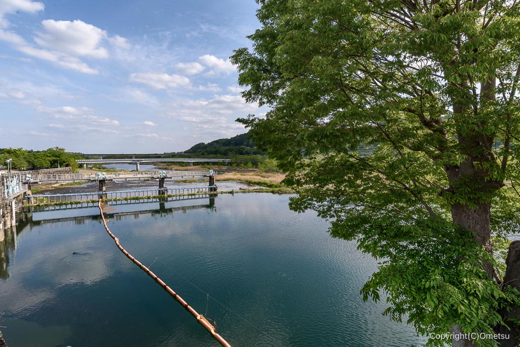 羽村の堰