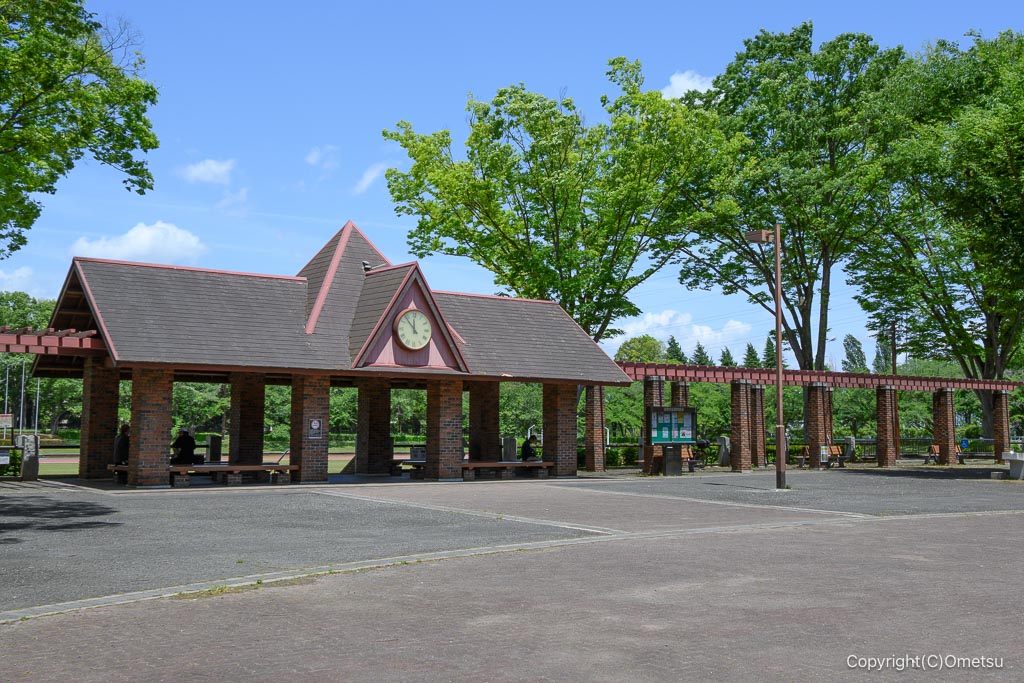 あきる野市・秋留台公園中央広場付近