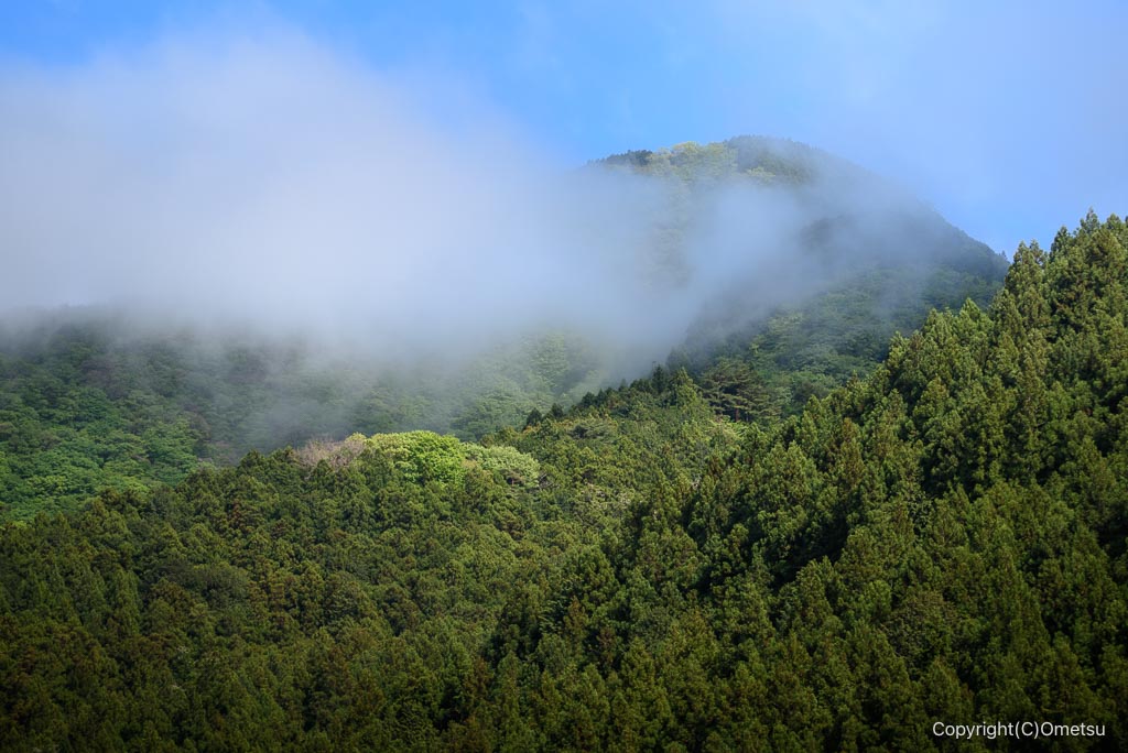 奥多摩町・しろまる卵カフェからの山