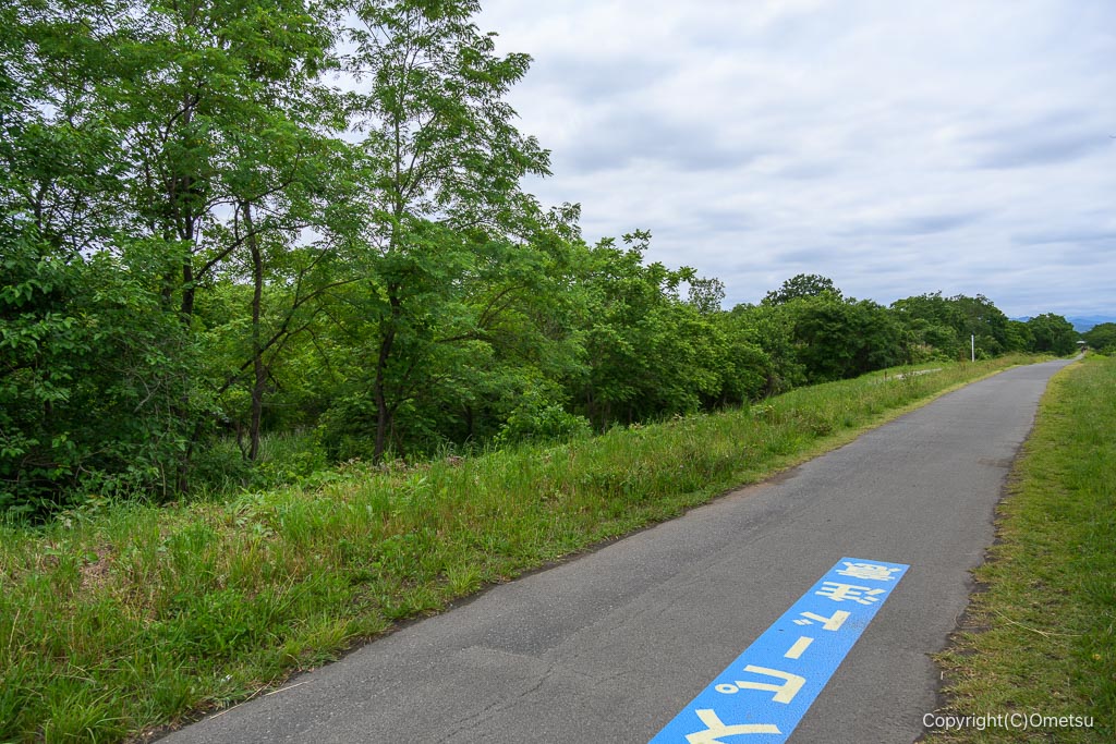 五日市鉄道・砂利専用運搬線近くの、サイクリングロード
