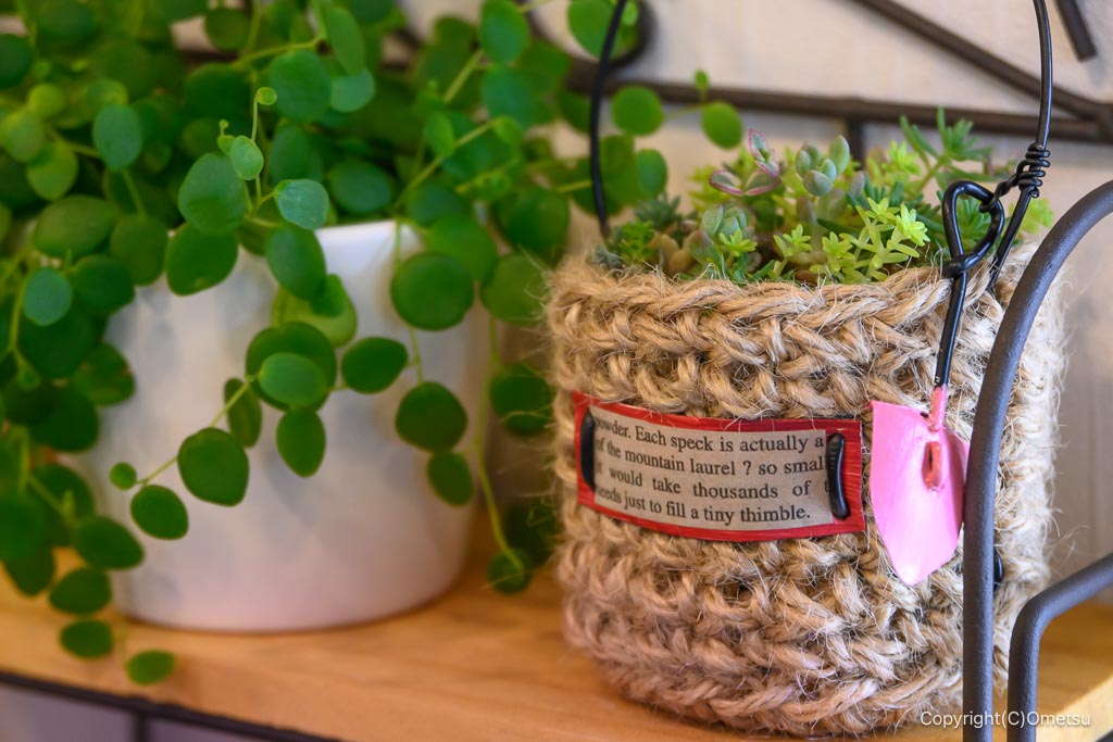 福生・cafe and plants Apr.のディスプレイ