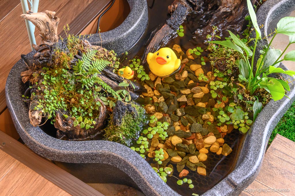 福生・cafe and plants Apr.のプランター