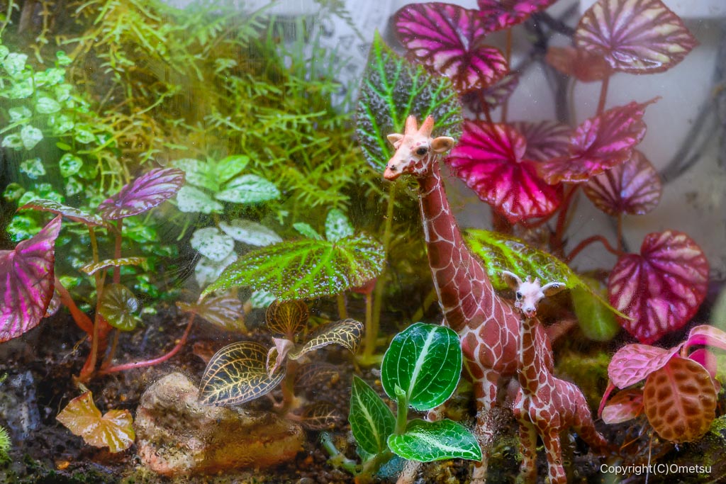福生・cafe and plants Apr.のキリンのいるプランター