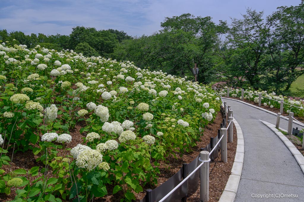 あきる野・秋留台公園・展望広場のスロープ