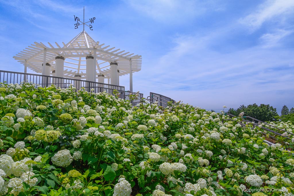 あきる野・秋留台公園・展望広場