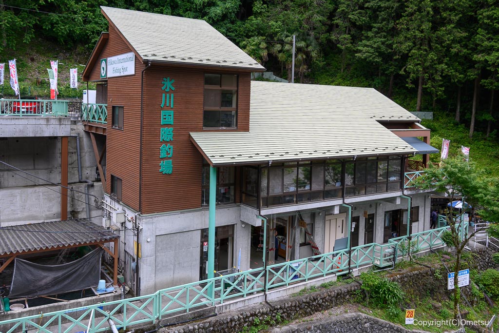奥多摩・氷川国際ます釣場