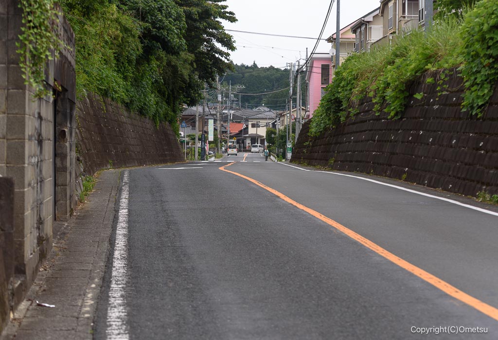 青梅市・城山通り