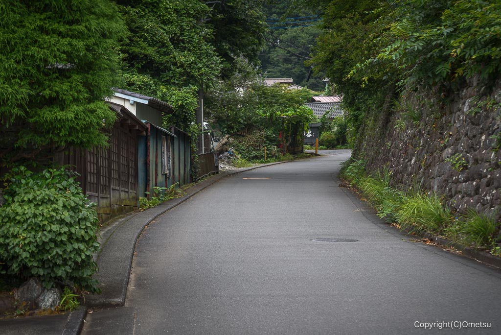 塩船観音寺への道