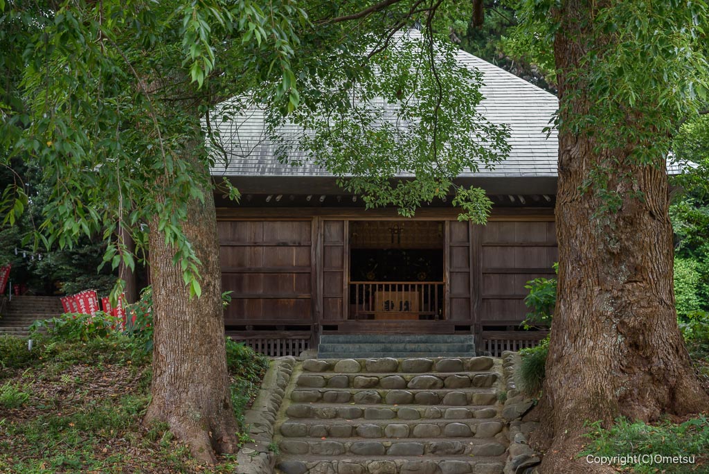 塩船観音寺・阿弥陀堂