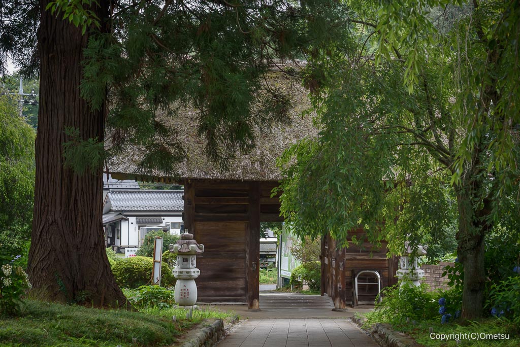 塩船観音寺・仁王門からの参道