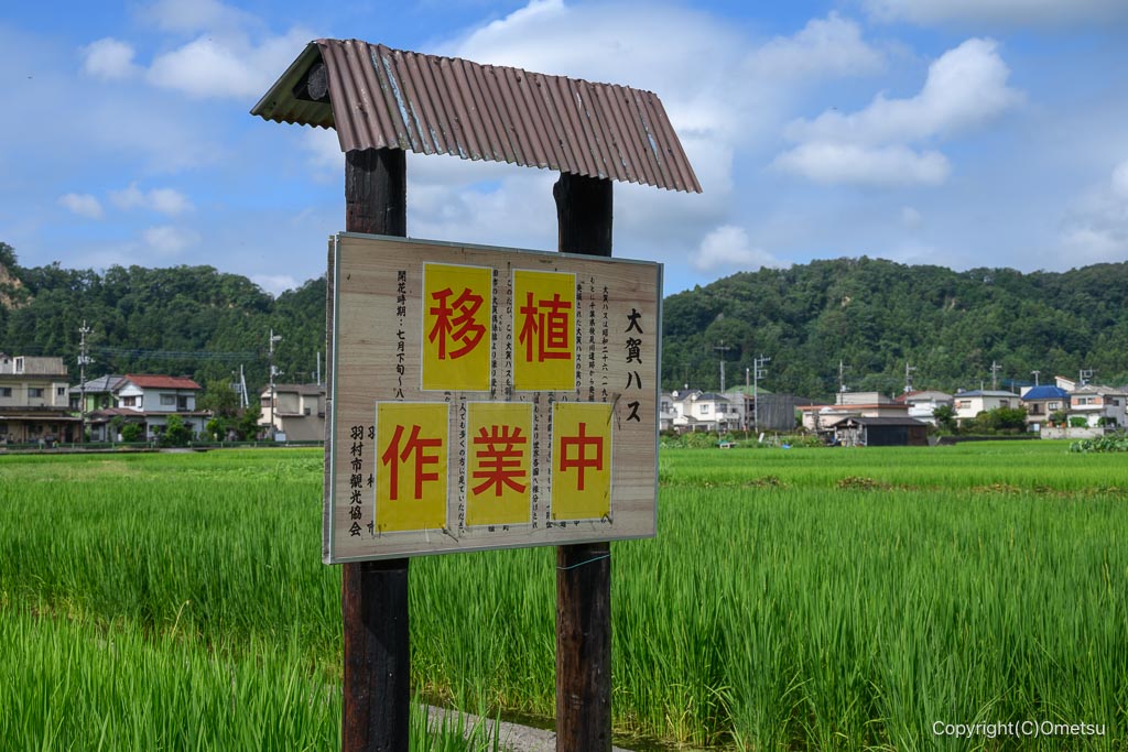 羽村・根がらみ前水田の看板
