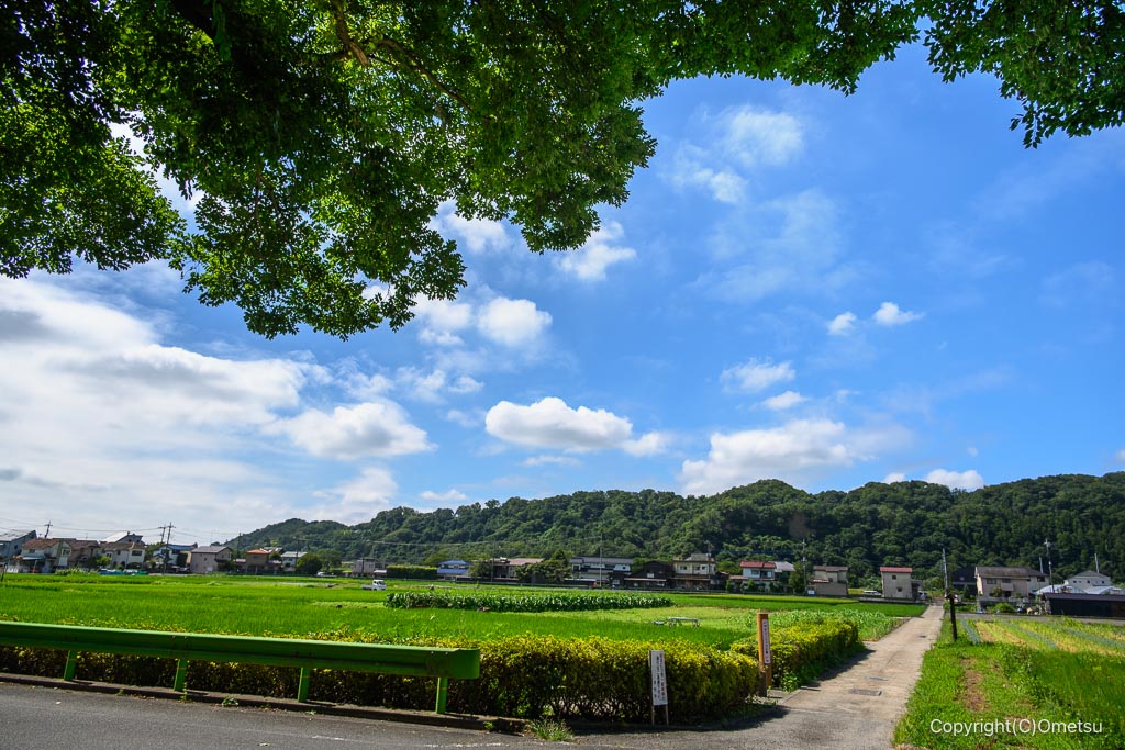 羽村・根がらみ前水田