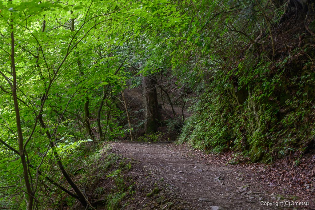御岳山の参道