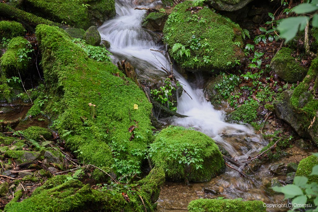 御岳山・養沢川の源流