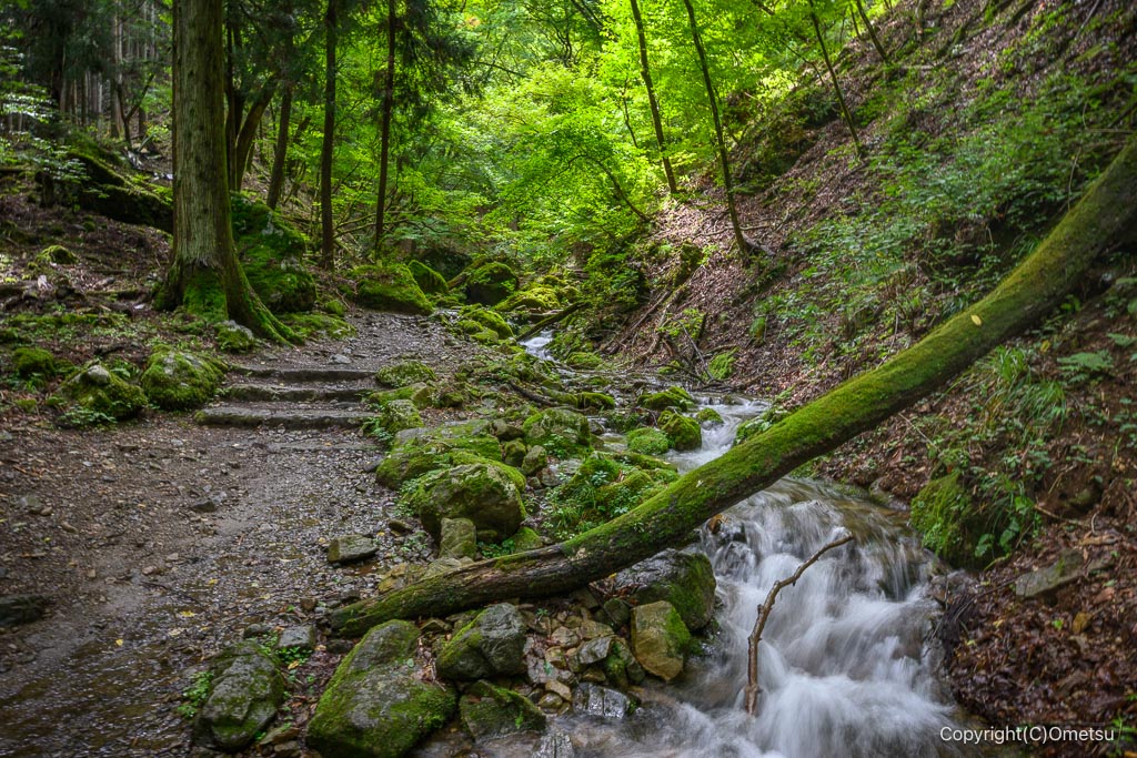 御岳山・ロックガーデンの沢