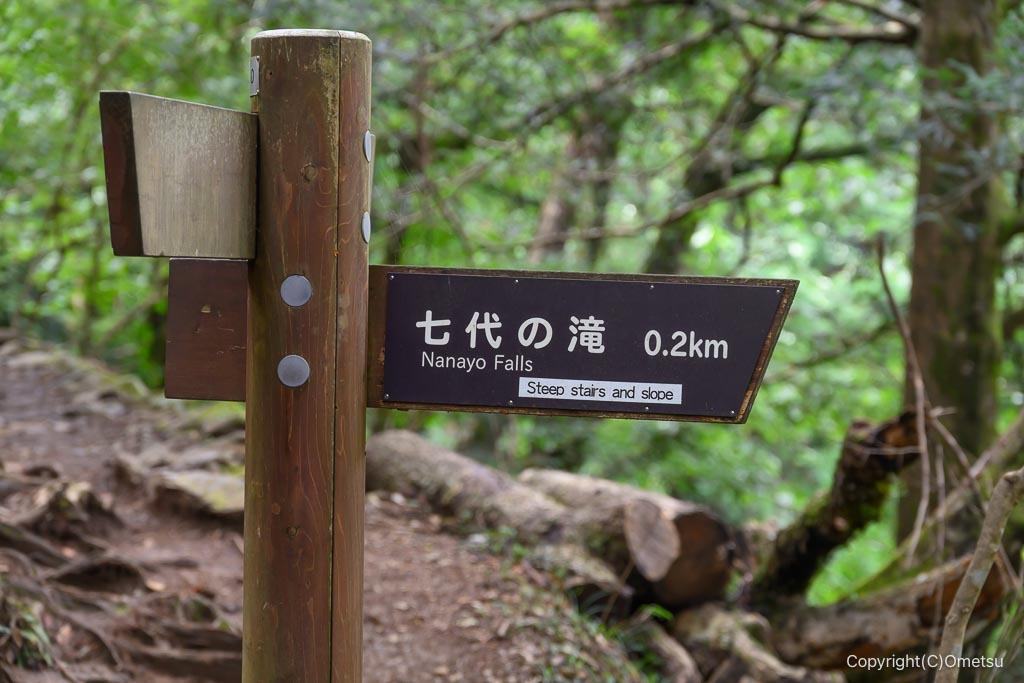 御岳山・天狗岩、七代の滝分岐