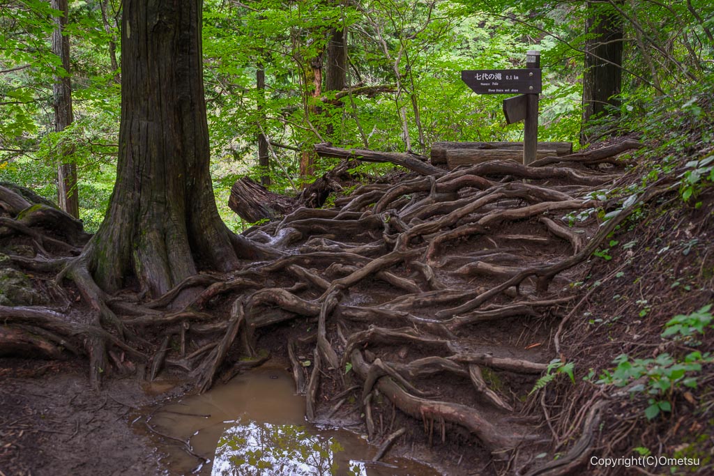 御岳山・七代の滝付近の登山道