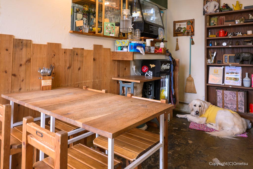 羽村・ペラゾカフェの店内と看板犬
