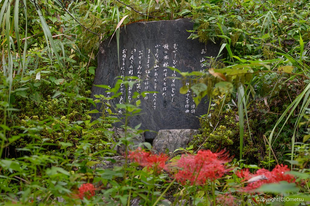 青梅・御岳渓谷の、お山の杉の子碑