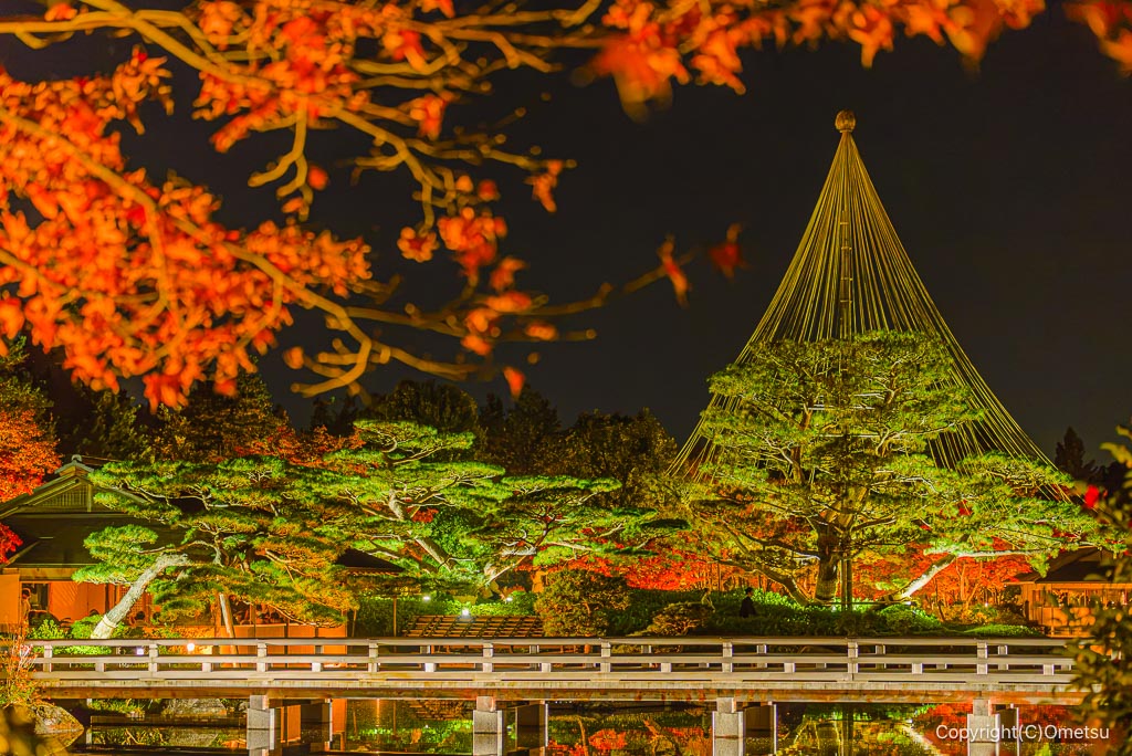 昭和記念公園・日本庭園の公共