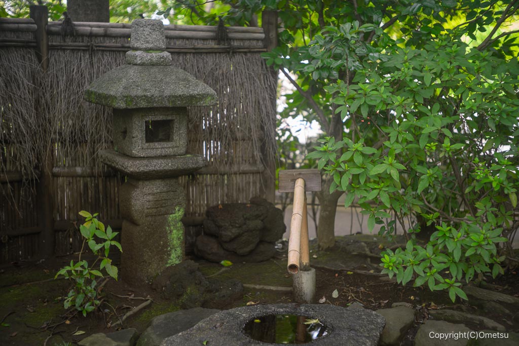 江戸川平成庭園の庭