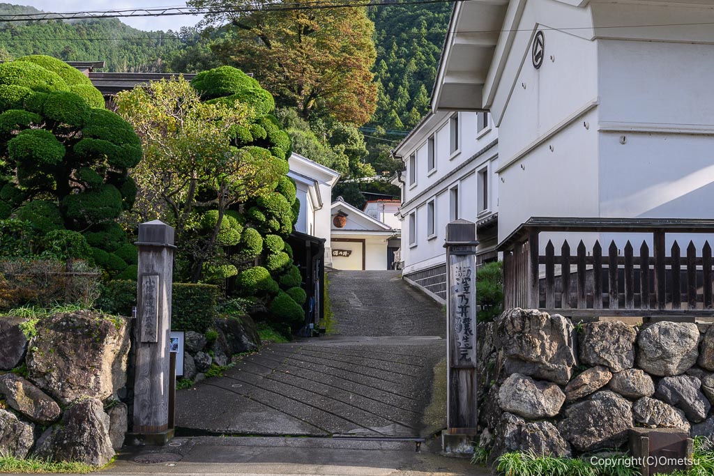 青梅・小澤酒造