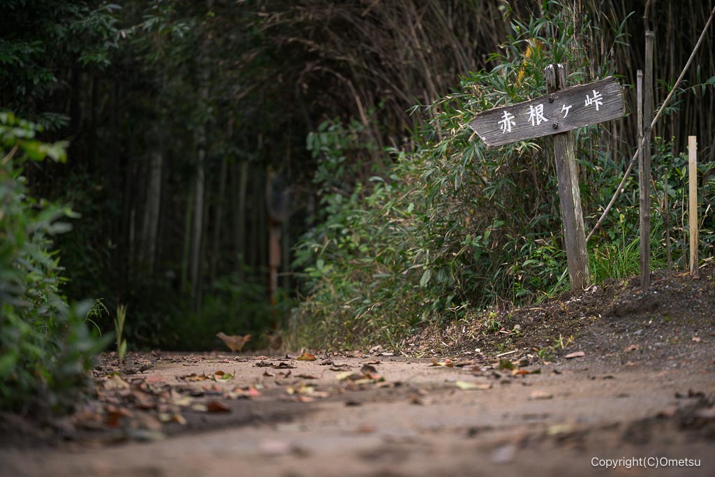 飯能・柏木山、穴郷入口付近の登山道入口